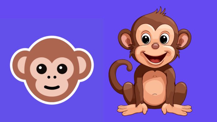 Monkey App