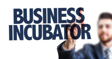 Top Incubators for Startups in 2025