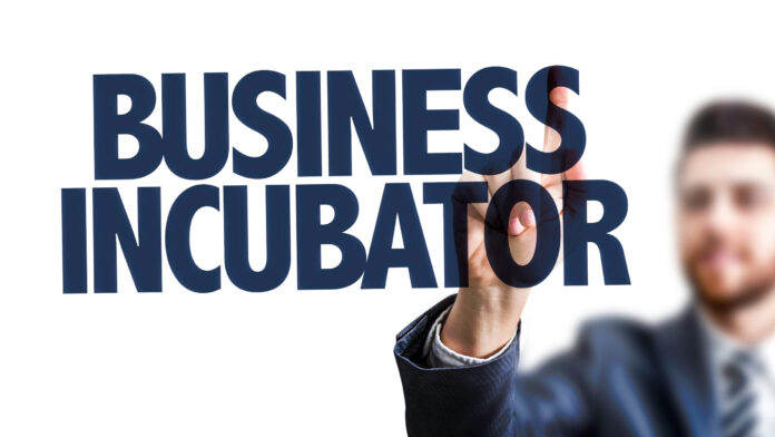 Top Incubators for Startups in 2025