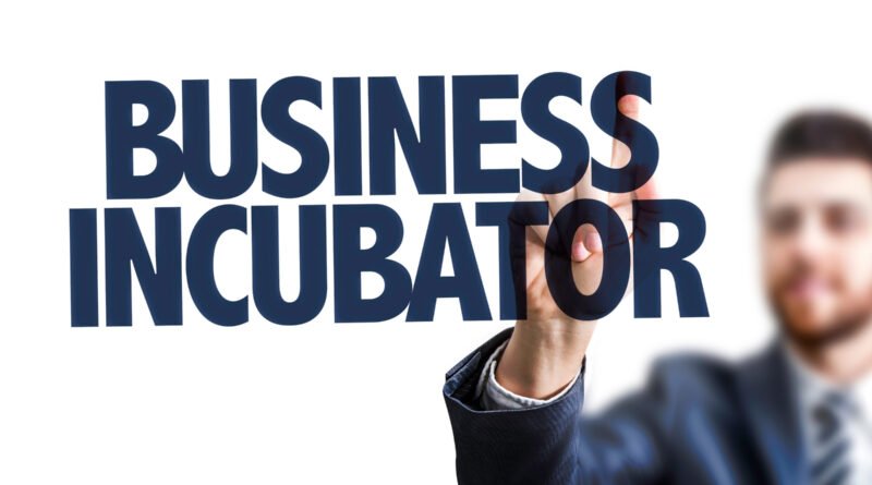 Top Incubators for Startups in 2025