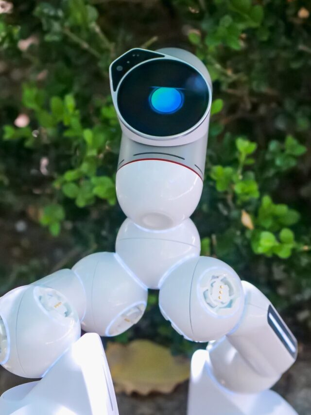 Pano AI Secures $44M to Battle Wildfires with AI